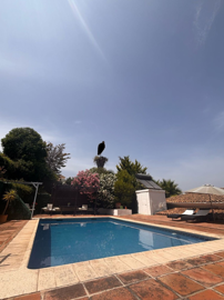 1447-636595-78d1f4f8b6655591b02d22fabb36a692d