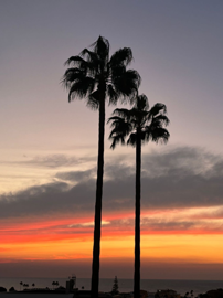 1447-636595-78d1f4f8b6655591b02d22fabb36a692d