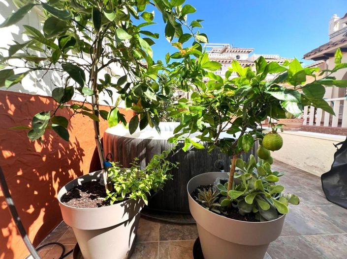 Image No.30-Maison de ville de 2 chambres à vendre à Orihuela Costa