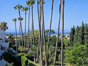 1447-639339-78d1f4f8b6655591b02d22fabb36a692d