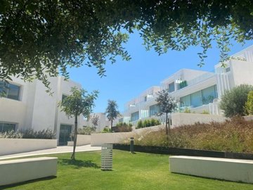 1447-638661-78d1f4f8b6655591b02d22fabb36a692d