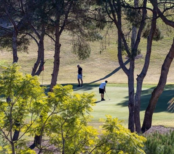 Image No.3-Villa de 4 chambres à vendre à Villamartin