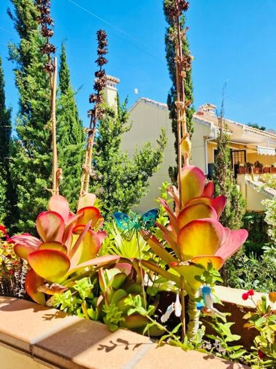 Image No.2-Appartement de 2 chambres à vendre à Orihuela Costa