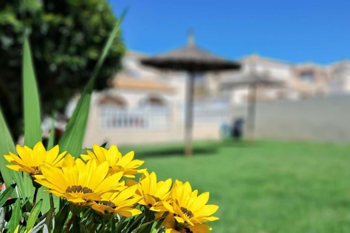 Image No.3-Bungalow de 2 chambres à vendre à Ciudad Quesada