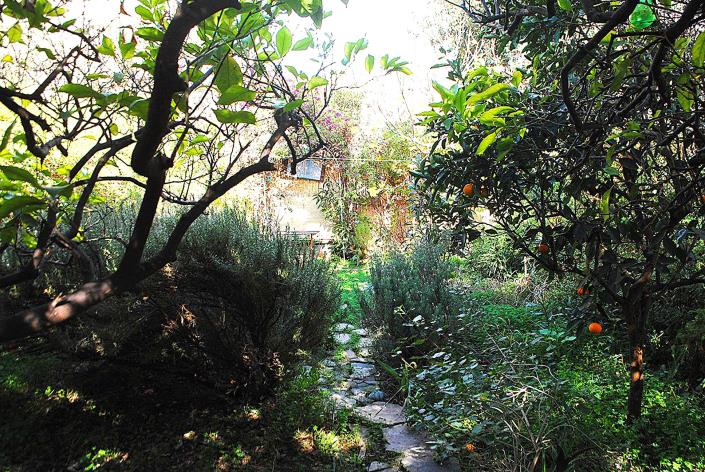 Image No.5-Maison / Villa de 3 chambres à vendre à Kritsa