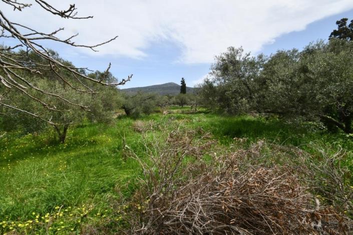 Image No.16-2 Bed House/Villa for sale