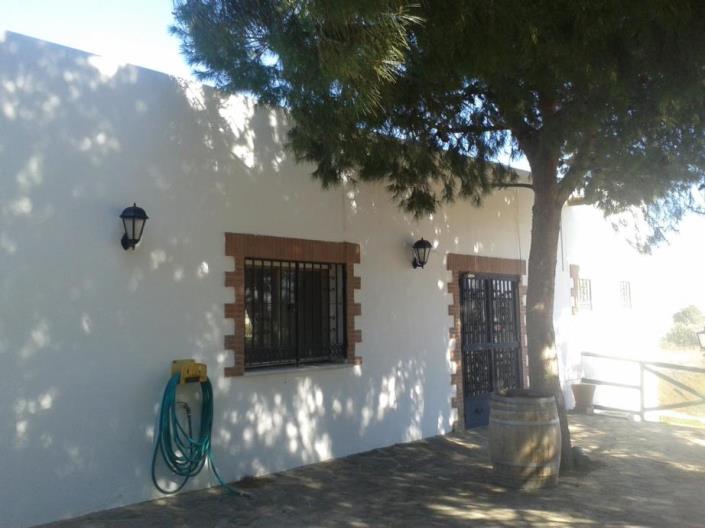 Image No.5-Commercial de 7 chambres à vendre à Vera