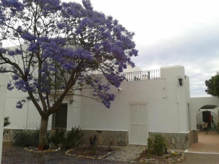 Image No.7-Commercial de 7 chambres à vendre à Vera