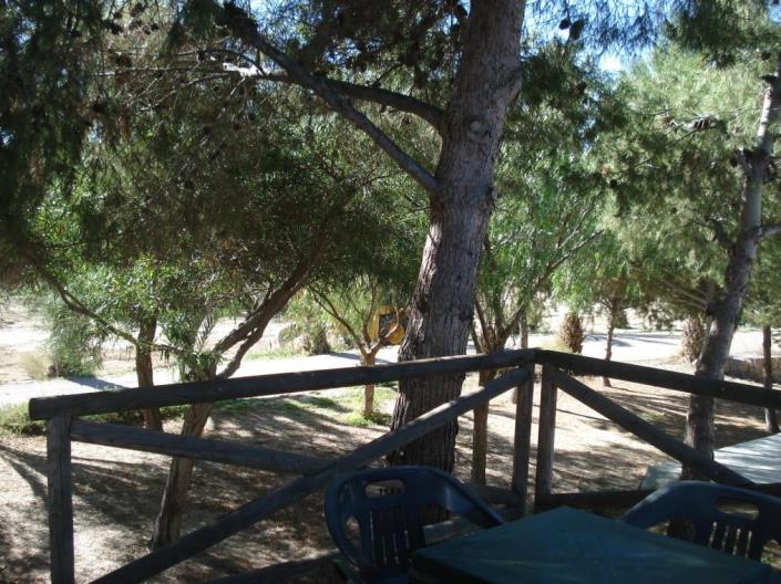 Image No.28-Commercial de 7 chambres à vendre à Vera