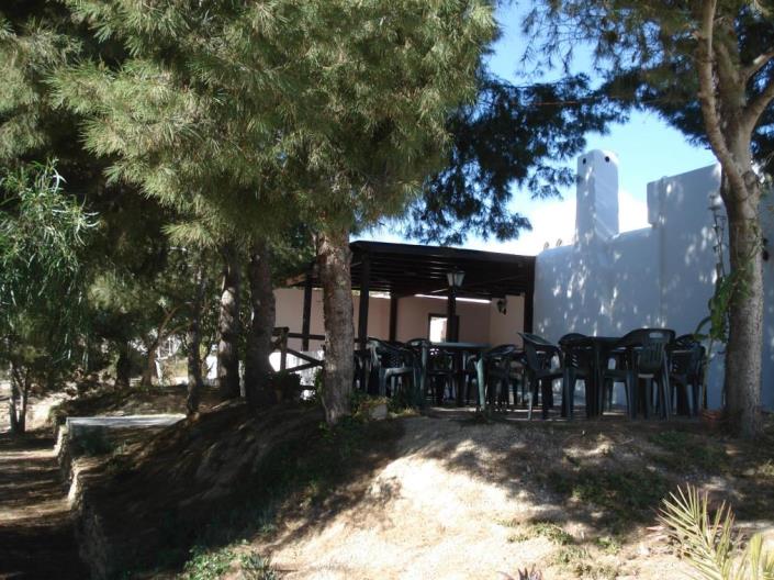 Image No.29-Commercial de 7 chambres à vendre à Vera