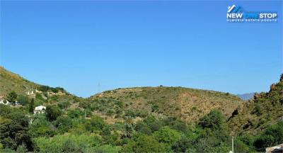 Imagen-de-WhatsApp-2025-06-25-a-las-10-31-36_42213bb3