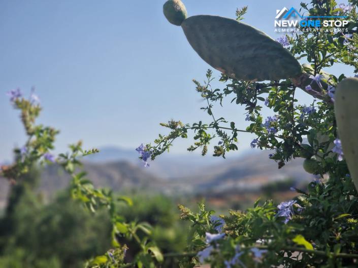 Image No.27-Cortijo de 3 chambres à vendre à Almanzora