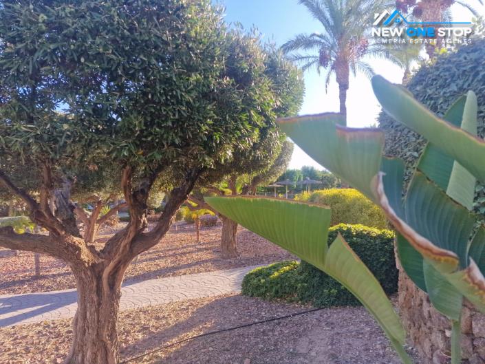 Image No.5-2 Bed Duplex for sale