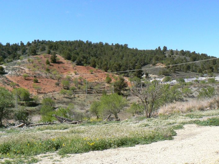 Image No.36-Cortijo de 5 chambres à vendre à Lorca