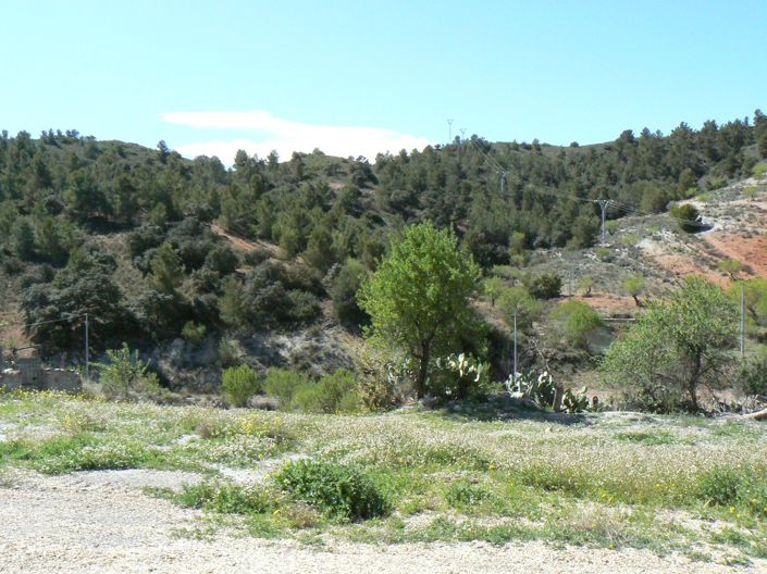 Image No.4-Cortijo de 5 chambres à vendre à Lorca