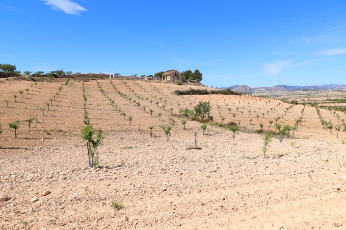 Image No.48-Finca de 3 chambres à vendre à Lorca