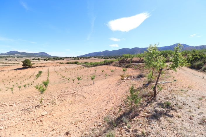 Image No.50-Finca de 3 chambres à vendre à Lorca