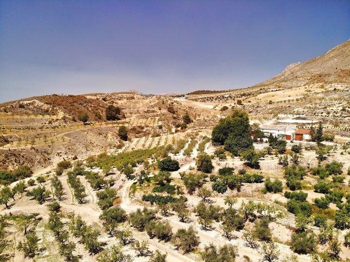 Image No.4-7 Bed Country House for sale