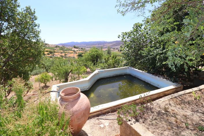 Image No.43-7 Bed Country House for sale