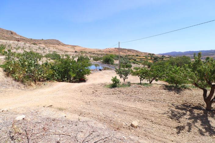 Image No.44-7 Bed Country House for sale