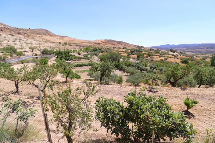 Image No.45-7 Bed Country House for sale