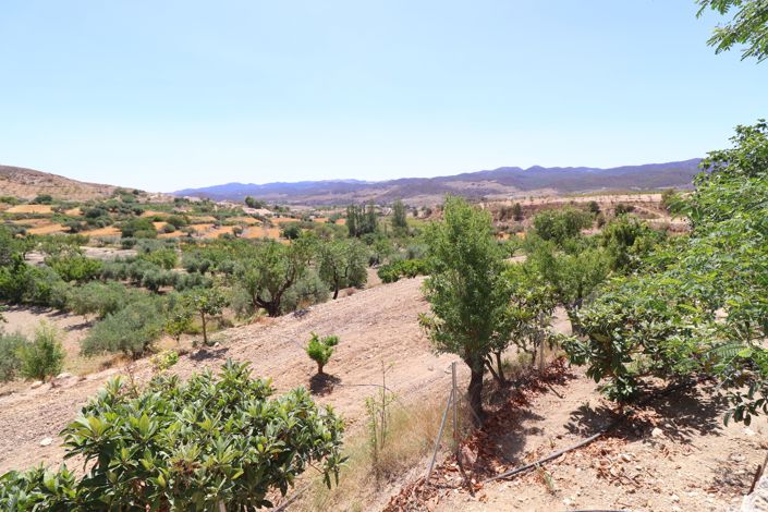 Image No.46-7 Bed Country House for sale