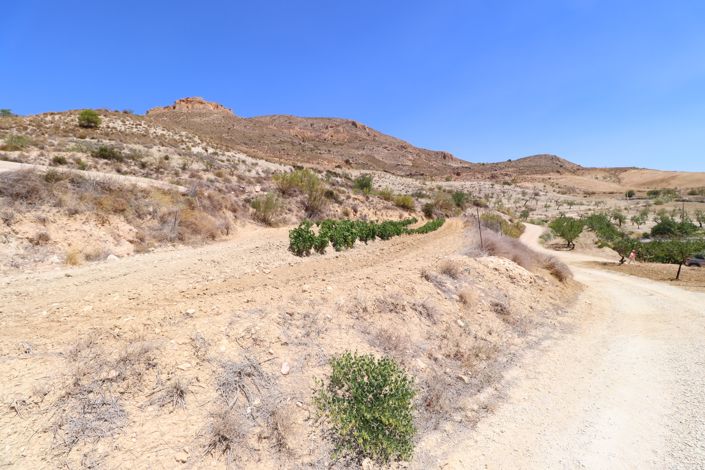 Image No.50-7 Bed Country House for sale