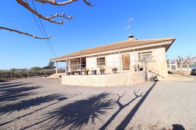 p4z8jubx313005-vl2060