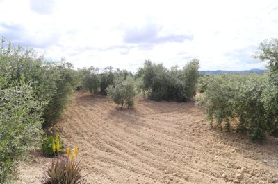 jg76n3f2ogs3018-ch2017