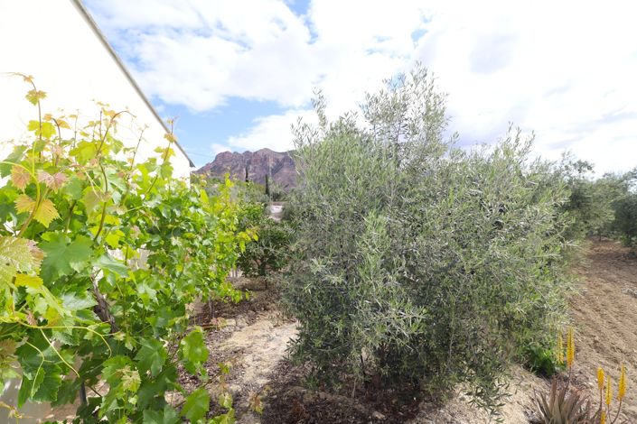 Image No.16-Maison de campagne de 2 chambres à vendre à Velez Blanco
