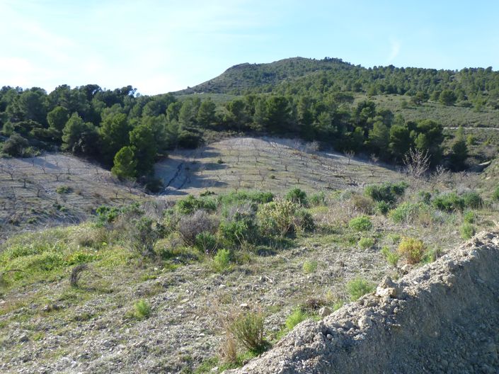 Image No.11-Maison de campagne de 3 chambres à vendre à Puerto Lumbreras