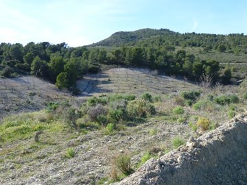 w8ngt89jdc1759-ch209