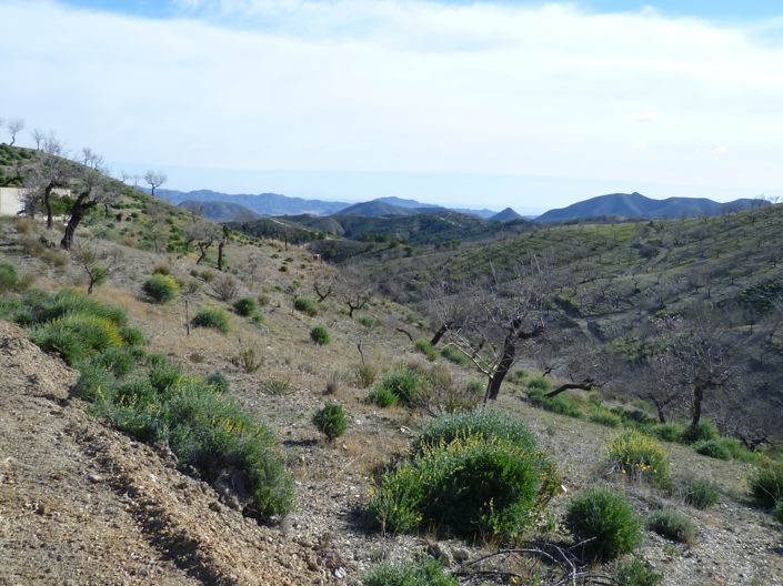 Image No.12-Maison de campagne de 3 chambres à vendre à Puerto Lumbreras