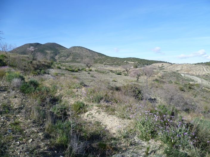 Image No.13-Maison de campagne de 3 chambres à vendre à Puerto Lumbreras