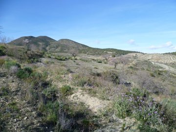 9bdzm9puyt41759-ch201