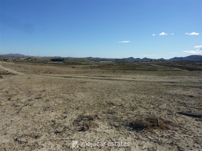 Image No.4-Terre à vendre à Los Gallardos