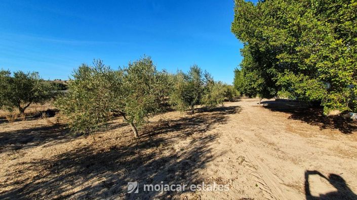 Image No.15-Villa de 4 chambres à vendre à Mojacar