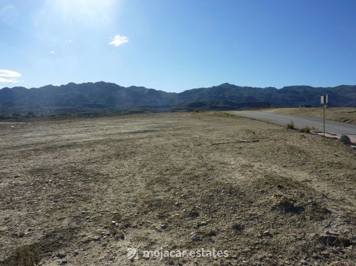 Image No.4-Terre à vendre à Los Gallardos