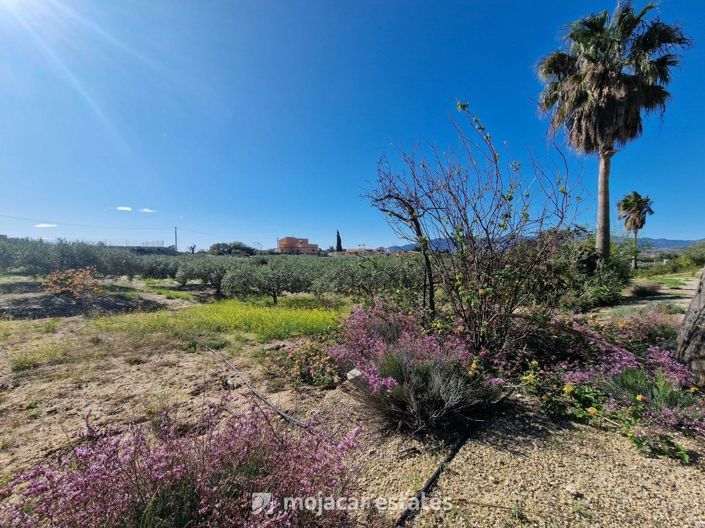 Image No.5-Villa de 4 chambres à vendre à Vera