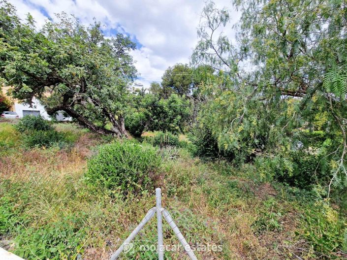 Image No.5-Terre à vendre à Mojacar