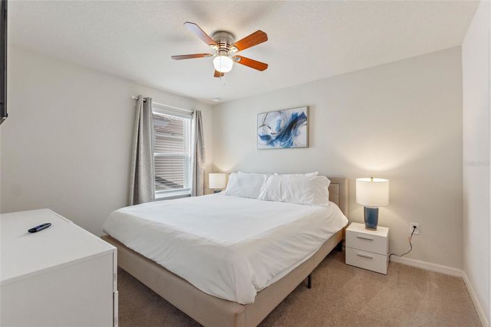 Image No.36-Maison de 7 chambres à vendre à Davenport