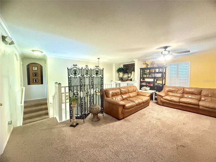 Image No.24-7 Bed House for sale