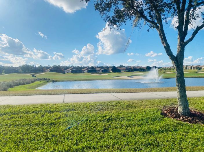 Image No.81-6 Bed House for sale