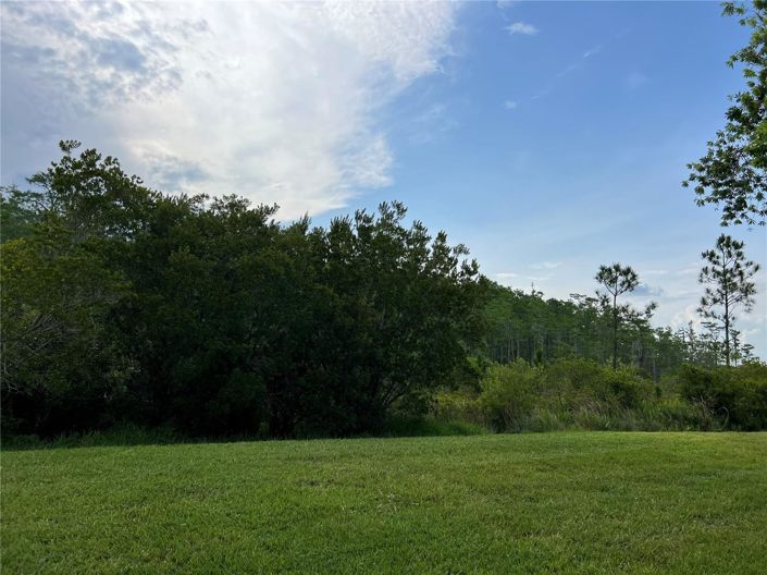 Image No.49-5 Bed House for sale