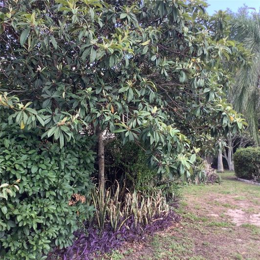 Image No.35-4 Bed House for sale