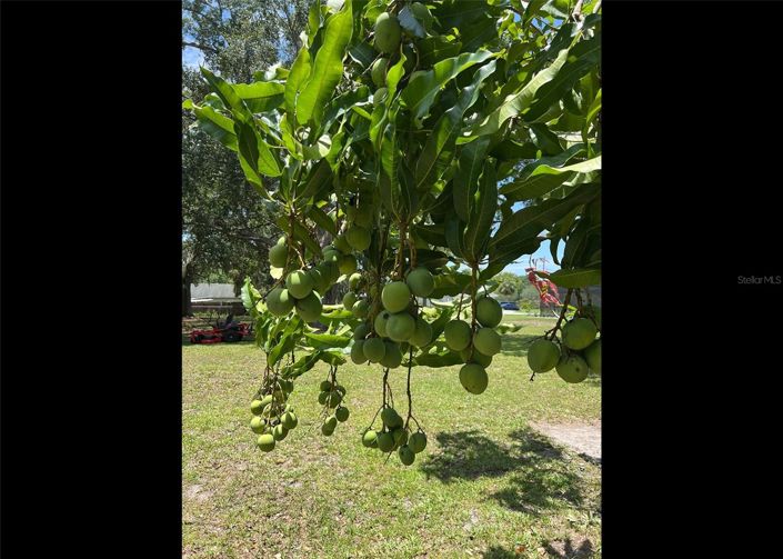 Image No.57-3 Bed House for sale