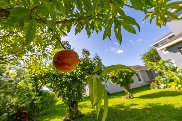 Image No.71-4 Bed House for sale