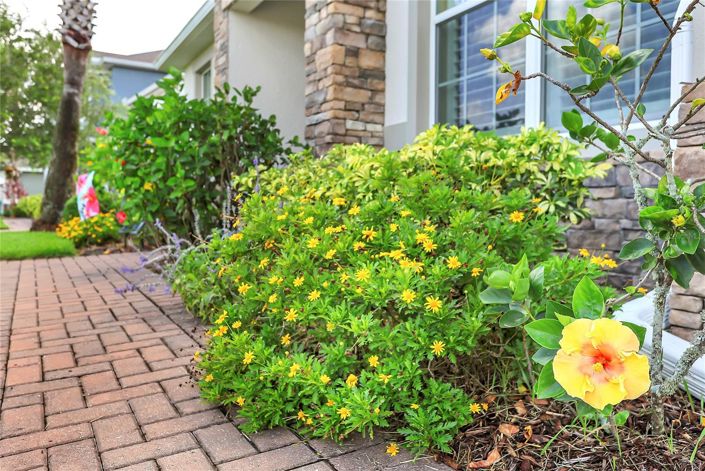 Image No.36-4 Bed House for sale