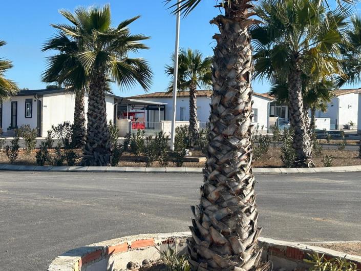 Image No.36-3 Bed Mobile Home for sale