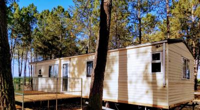 BK-Seville-Setubal-2-scaled